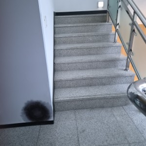 latest image